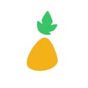 Anana Studio Logo